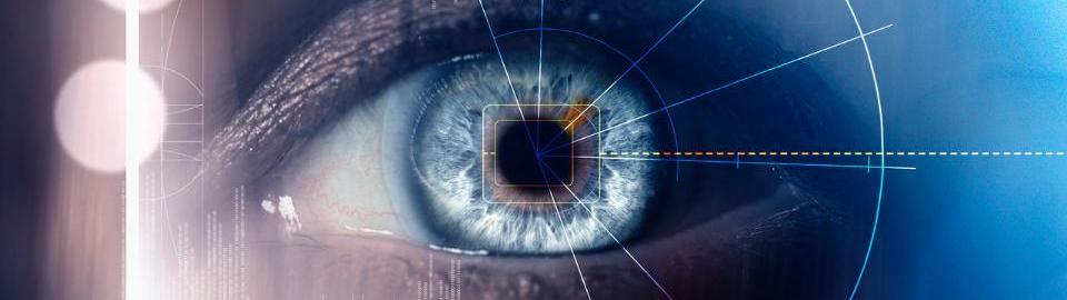 Düsedau Technischer Service, Düsedau Service, Telekomunikation Düsedau Service